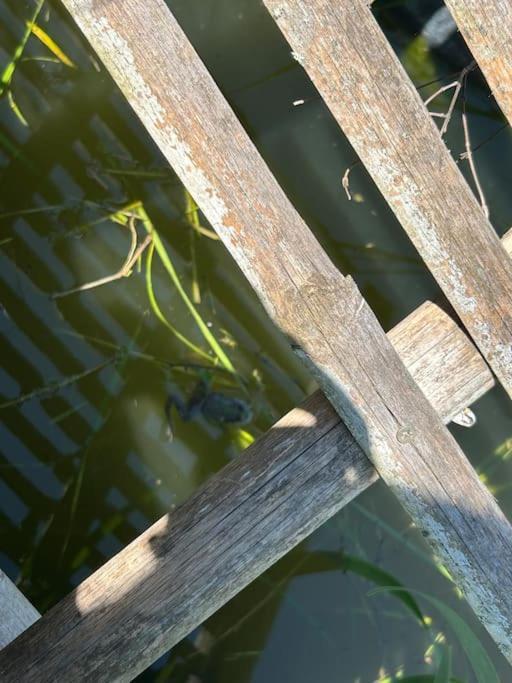 Un Havre De Paix Au Perigord Villa Anlhiac Kültér fotó