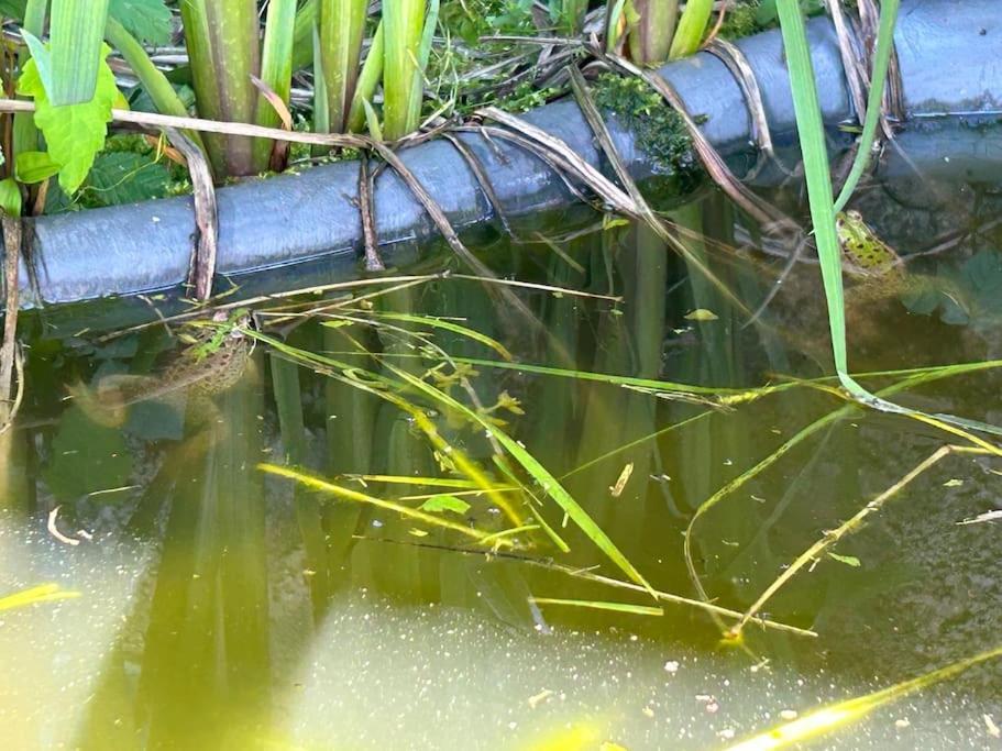 Un Havre De Paix Au Perigord Villa Anlhiac Kültér fotó